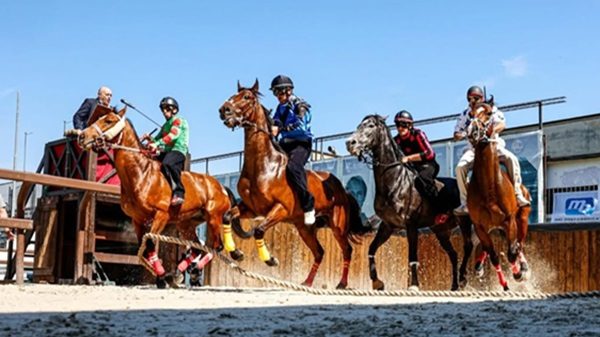 legnano palio corse addestramento