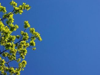 bel tempo massime gradi 02