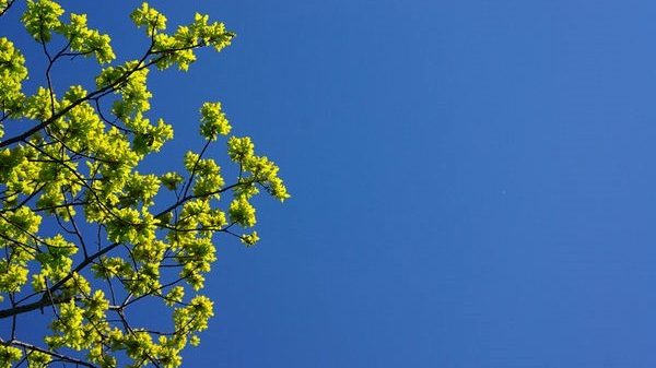 bel tempo massime gradi 02