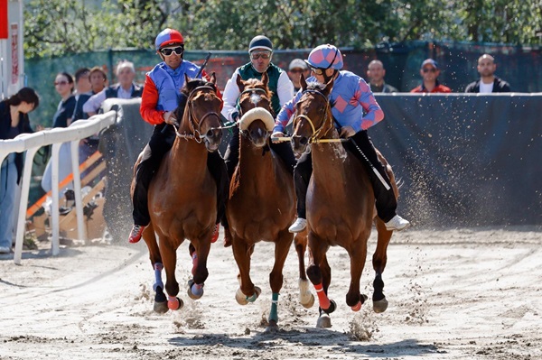 corse addestramento palio legnano 2025