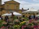 cusago in fiore