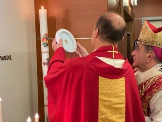delpini wojtyla varese ospedale