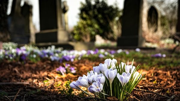 mornago sistemazione cimiteri euro