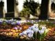 mornago sistemazione cimiteri euro