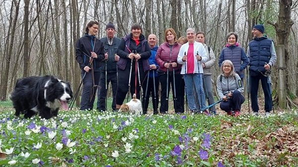 rescaldina boschi rugareto nordicwalking
