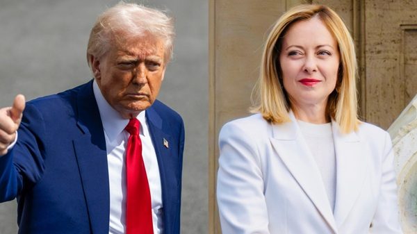 lodi meloni trump