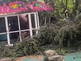 legnano giostra albero giardino