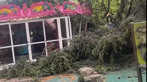 legnano giostra albero giardino