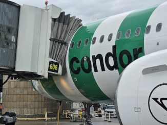 malpensa francoforte volo condor