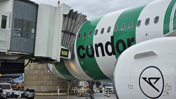 malpensa francoforte volo condor