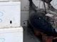 varese ristorante pesce sequestrato