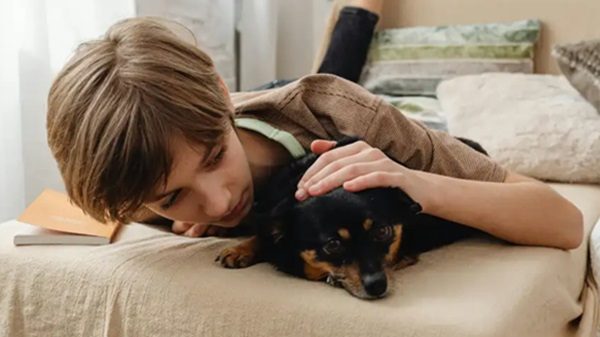 bambini cani