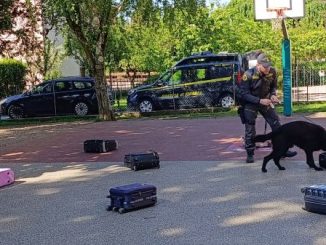clivio scuola unita cinofila