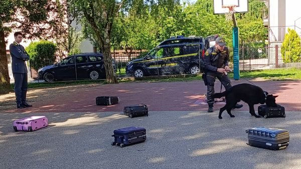 clivio scuola unita cinofila