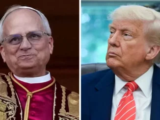 lodi papa americano