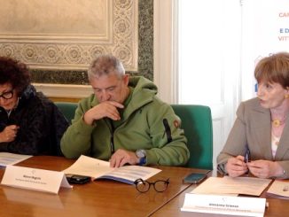 fondazione morandi vent anni