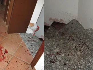 garlasco colpevole giustizia