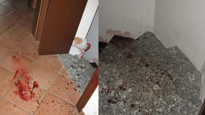 garlasco colpevole giustizia