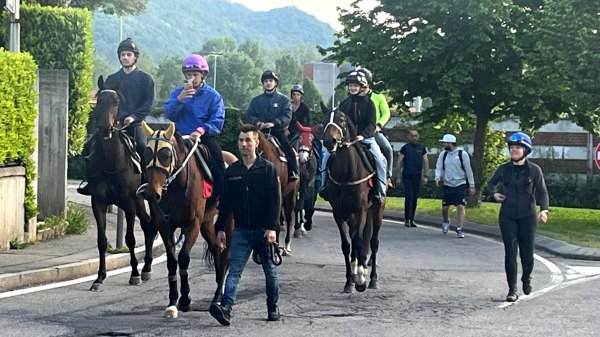 ippodromo cavalli sfilano varese