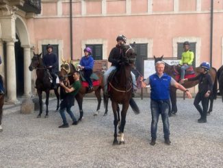 ippodromo cavalli sfilano varese