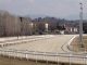 ippodromo varese comune concessione