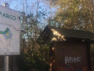 legnano parco bosco ronchi