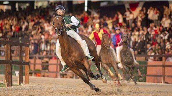 palio legnano cavalli fantini