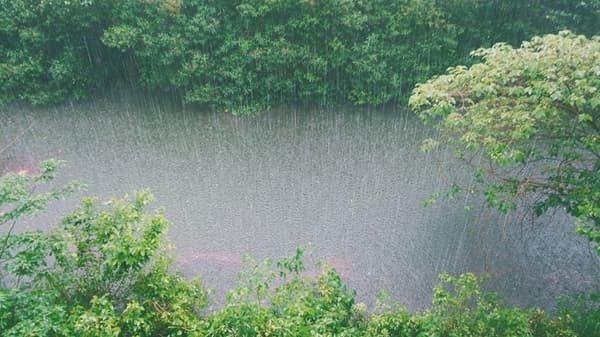 pioggia schiarite temperatura calo