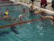 legnano piscina temperatura mgmsrl