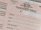elezioni test urne