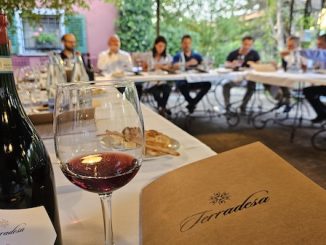 Terradesa vino cassano magnago