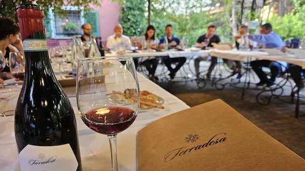 Terradesa vino cassano magnago