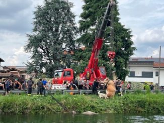 lonatepozzolo mucche canale indagini
