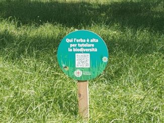 ambiente verde manutenzione erba biodiversità