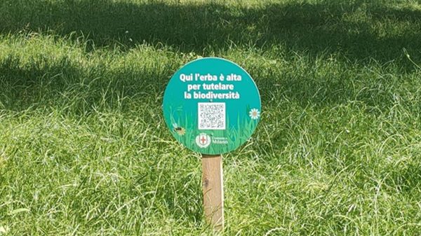 ambiente verde manutenzione erba biodiversità