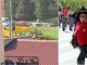 gallarate morto pedone investito