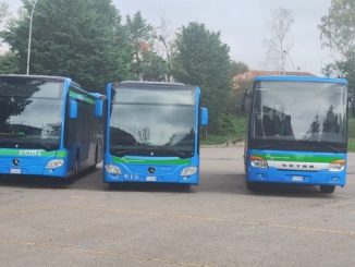 cittiglio bus aggressione pullman