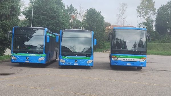 cittiglio bus aggressione pullman