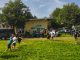legnano frogs openday footballamericano