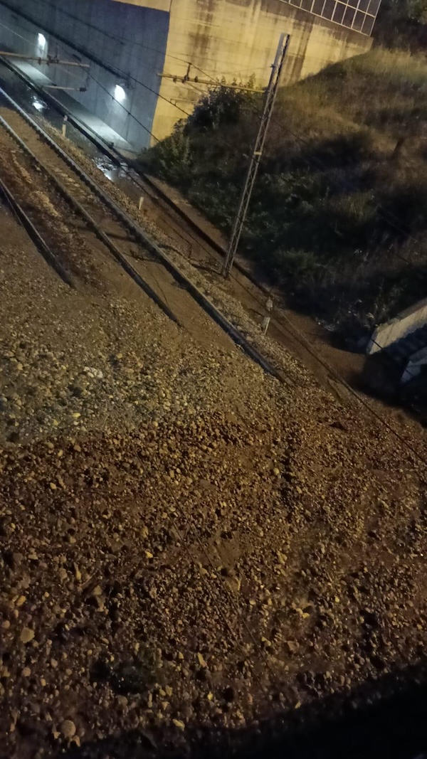 Malpensa express frana treni
