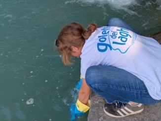 Lago maggiore inquinamento Varese