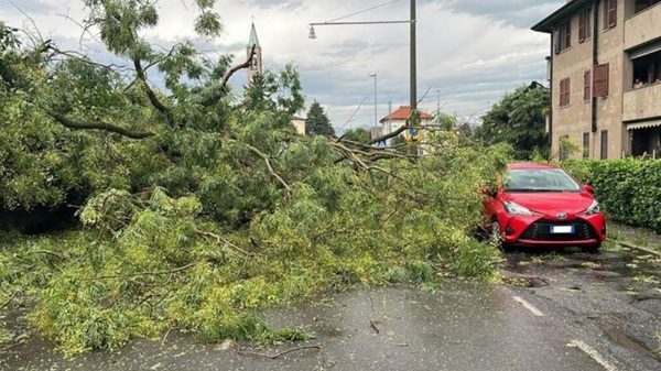 risarcimento maltempo lombardia