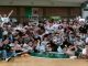 MaGo promozione serieB