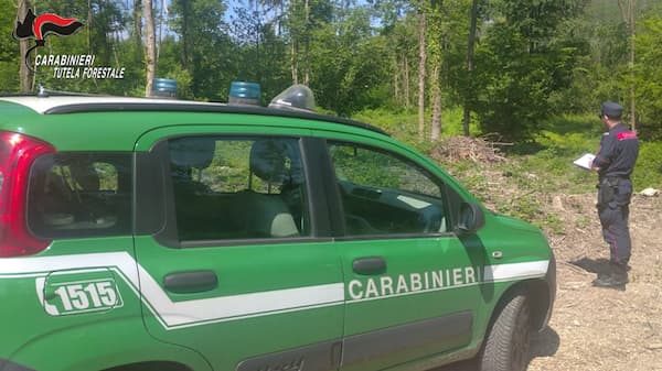 gemonio bosco carabinieri forestali