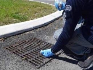 zanzare insetti disinfestazione