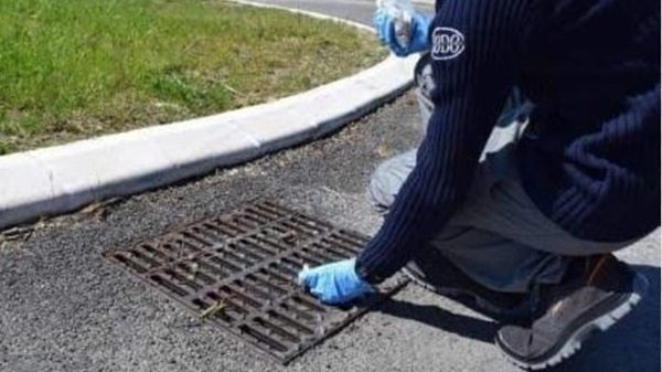 zanzare insetti disinfestazione