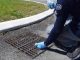 zanzare insetti disinfestazione