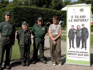 comune varese cerca gev