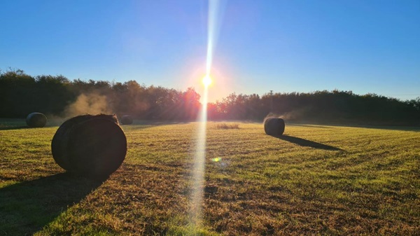 parco del roccolo
