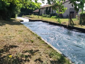 parabiago villoresi annegato soccorsi